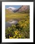 Lago Horcones With Cerro Aconcagua In The Background by Michael S. Lewis Limited Edition Print