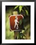 Hiking Trail Marker by Raymond Gehman Limited Edition Print