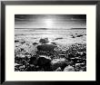 Sun Surf & Rocks by Richard Nowicki Limited Edition Pricing Art Print