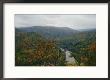 Leaves Change Color In The Fall Along The Nolichucky River by Stephen Alvarez Limited Edition Print