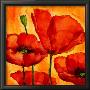 Coquelicots I by Giuseppina Tartagni Limited Edition Pricing Art Print