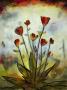 Poppy Garden I by Lucia Marque Limited Edition Print