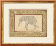 Indian Elephant by Banafshe Schippel Limited Edition Pricing Art Print