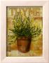 Thyme by Carol Elizabeth Limited Edition Print