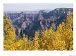 Fall Colors On The North Rim by Justin Locke Limited Edition Print