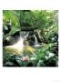 Tropical Waterfall by Rick Bostick Limited Edition Print