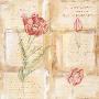 Rose Concerto Iv by Gillian Fullard Limited Edition Print