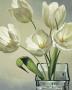 Tulipani In Vaso by Eva Barberini Limited Edition Pricing Art Print