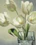 Tulipani In Vaso by Eva Barberini Limited Edition Print