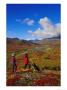 Hikers And A Dog In The Ogilvie Mountains by Paul Nicklen Limited Edition Print