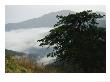 Fog In Valley Below Old Rag Mountain by Raymond Gehman Limited Edition Print