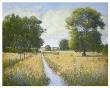 The Meadow by John Molnar Limited Edition Print
