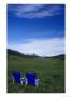 2 Chairs In Flower Field, Kenai, Alaska by Mike Robinson Limited Edition Print