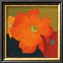 December Zinnias Iii by Audrey Heard Limited Edition Print