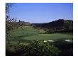 Shady Canyon Golf Course, Hole 14 by Stephen Szurlej Limited Edition Print