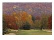 Taconic Golf Club, Hole 15 by Dom Furore Limited Edition Pricing Art Print