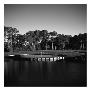 Tpc Sawgrass Stadium Course, Hole 17, Black And White by Bill Fields Limited Edition Pricing Art Print