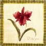 Cattleya by Yuna Limited Edition Pricing Art Print