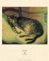 Cat Lying Down Ii, C.1898 by Théophile Alexandre Steinlen Limited Edition Pricing Art Print