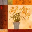 Oncidium Window by Adam Guan Limited Edition Print