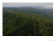 An Aerial View Of The Cumberland Plateau Near Sewanee by Stephen Alvarez Limited Edition Print