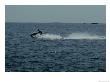 Jet Ski Rides Across Long Island Sound by Todd Gipstein Limited Edition Print