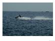 Jet Ski Rides Across Long Island Sound by Todd Gipstein Limited Edition Pricing Art Print