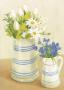 Daisies, Tulips And Purple Flowers In Pitchers by David Col Limited Edition Print