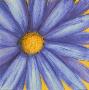 Blue Daisy by Julio Sierra Limited Edition Print