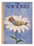 The New Yorker Cover - July 14, 1962 by William Steig Limited Edition Print