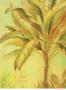 Palm Abstract Ii by Natua Tetianihii Limited Edition Print