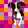 Atome As A Puppy Pop Star Iii by Guerin Limited Edition Print