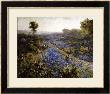 Field Of Texas Bluebonnets And Prickly Pear Cacti by Julian Robert Onderdonk Limited Edition Print