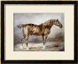 Horse In A Stable by Thã©Odore Gã©Ricault Limited Edition Print