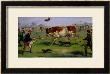 Bull Baiting by Samuel Henry Alken Limited Edition Print