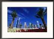 Skyline With Flowers In Foreground, Shiek Zayed Rd, Dubai, United Arab Emirates by Phil Weymouth Limited Edition Print