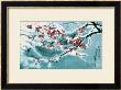 Plum Blossom In Snow by Haizann Chen Limited Edition Print