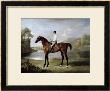 The Marquess Of Rockingham's Scrub, With John Singleton Up, 1762 by George Stubbs Limited Edition Print