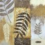 Patterns Of Nature I by Wendy Russell Limited Edition Print