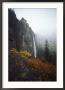 Bridal Veil Falls Plummets Down A Rock Cliff Near Telluride by Paul Chesley Limited Edition Print