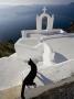 View Of A Cat On A Wall In The Village Of Oia Perched On Steep Cliffs Overlooking The Submerged Cal by Ron Watts Limited Edition Print