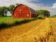 Barn, Myrtle, Manitoba by Dave Reede Limited Edition Print