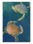 Two Swimming Crabs by William H. Crowder Limited Edition Print