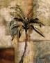 Palm Whisper Ii by Zernitsky Limited Edition Print