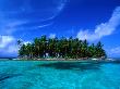 Coconut Palm Trees On Key In San Blas Islands, Panama by Alfredo Maiquez Limited Edition Print