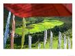 Praying Flags With Village And Farmlands At Pepe La Pass, Phobjikha Valley, Gangtey, Bhutan by Keren Su Limited Edition Pricing Art Print