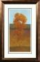 Solitary Tree Iii by Kim Coulter Limited Edition Print