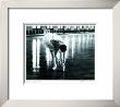 Vanessa Harwood by Andre Kertesz Limited Edition Pricing Art Print