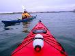 People Kayaking Through Elkhorn Slough, Moss Landing, Near Santa Cruz, Santa Cruz, California by Eddie Brady Limited Edition Print