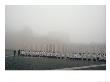 Altar Boys Cross St. Peter's Square On Epithany Morning, St. Peter's Square, Vatican City by James L. Stanfield Limited Edition Print